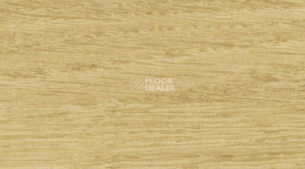 Линолеум Gerflor Recreation 30 Wood 6045_Golden_Wood фото 1 | FLOORDEALER