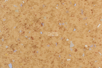 Линолеум Forbo Emerald Spectra 5525 фото 1 | FLOORDEALER