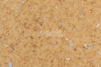 Линолеум Forbo Emerald Spectra 5525 фото 1 | FLOORDEALER