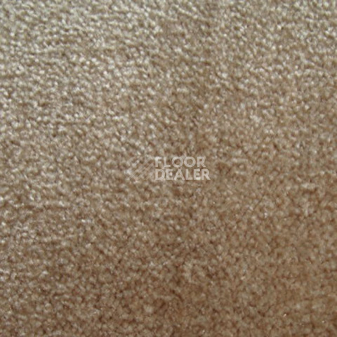 Ковролин Дюна Тафт Napoli 244 фото 1 | FLOORDEALER