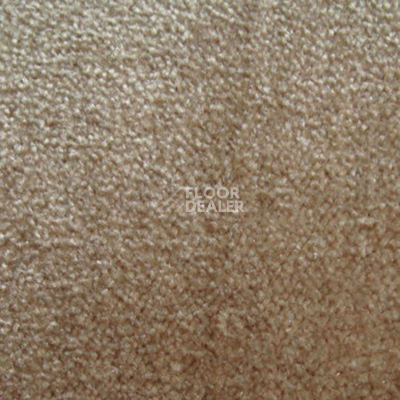 Ковролин Дюна Тафт Napoli 244 фото 1 | FLOORDEALER