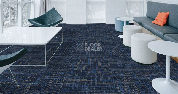 Casini Casini 558 фото 2 | FLOORDEALER