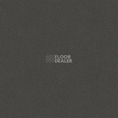 Ковровая плитка Tessera basis pro 4203 Cobblestone фото 1 | FLOORDEALER