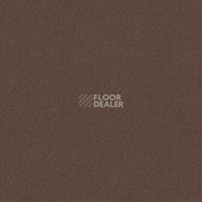 Ковровая плитка Tessera basis pro 4384 Sable фото 1 | FLOORDEALER