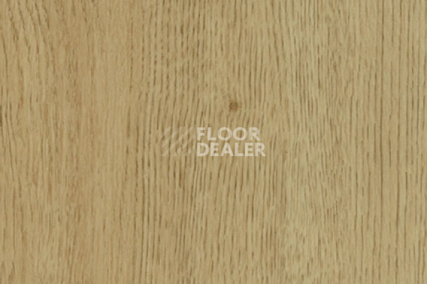 Виниловая плитка ПВХ FORBO allura decibel 0.8 wood 5403AD8 light honey antique oak (100x16.6 cm) фото 1 | FLOORDEALER