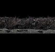 Forbo Coral Brush 5730 Vulcan Black фото 4 | FLOORDEALER