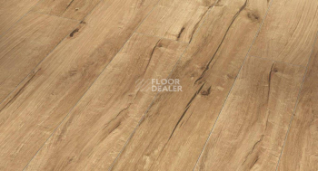 Ламинат Parador Trendtime 1 1601432 Дуб Древний Натуральный фото 1 | FLOORDEALER