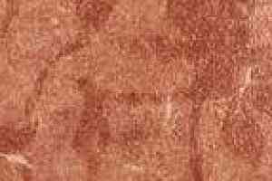 Керамогранит ColiseumGres SICILIA Сицилия Красный Фашиа Листья фото  | FLOORDEALER