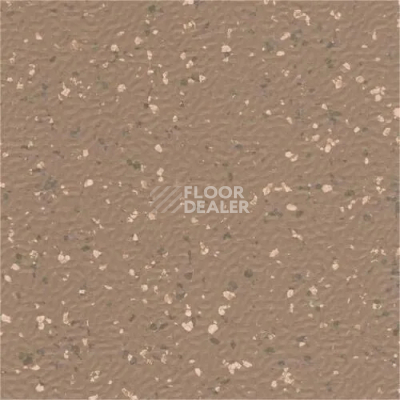 Линолеум Vertigo Ultraflex U41525 Hazelnut фото 1 | FLOORDEALER