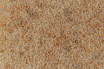 Flotex Colour Calgary 50*50 t 590013 Calgary Caramel фото 2 | FLOORDEALER