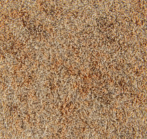 Flotex Colour Calgary 50*50 t 590013 Calgary Caramel фото 2 | FLOORDEALER