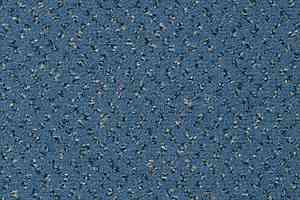 Ковролин Vorwerk Passion 1047 Vorwerk 3q39 фото  | FLOORDEALER