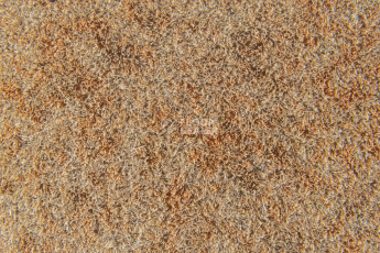 Flotex Colour Calgary 50*50 t 590013 Calgary Caramel фото 2 | FLOORDEALER