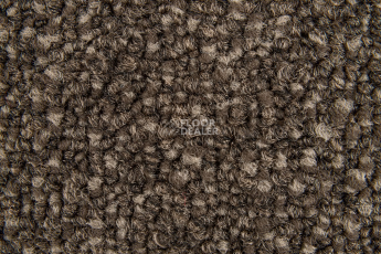 Haima Coral 06 фото 3 | FLOORDEALER