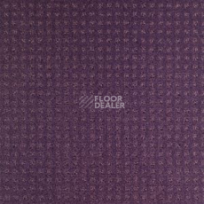 Ковролин Balsan Territoires Atrium 871 фото 1 | FLOORDEALER