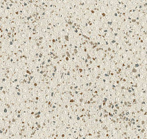 Линолеум Polyflor Polysafe Hydro Evolve 4252 фото 1 | FLOORDEALER