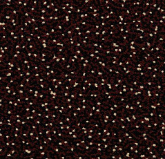 Ковровая плитка Westbond Flex Nf 92146 фото 1 | FLOORDEALER