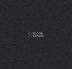 Линолеум Forbo Marmoleum Bulletin Board 2202 фото 1 | FLOORDEALER