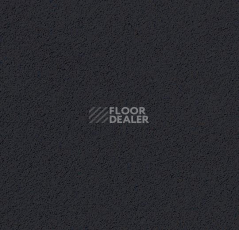 Линолеум Forbo Marmoleum Bulletin Board 2202 фото 1 | FLOORDEALER