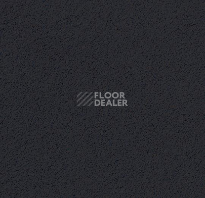 Линолеум Forbo Marmoleum Bulletin Board 2202 фото 1 | FLOORDEALER