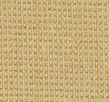 Ковролин Desso Conga 3121 фото 1 | FLOORDEALER