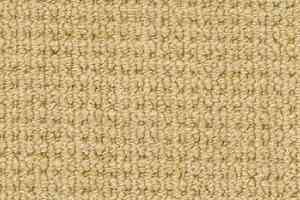 Ковролин Desso Conga 3121 фото  | FLOORDEALER