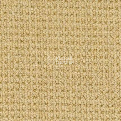 Ковролин Desso Conga 3121 фото 1 | FLOORDEALER