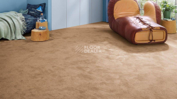 Vorwerk Essential 1076 Vorwerk 1n57 фото 2 | FLOORDEALER