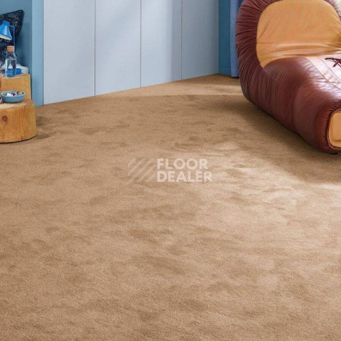 Vorwerk Essential 1076 Vorwerk 1n57 фото 2 | FLOORDEALER