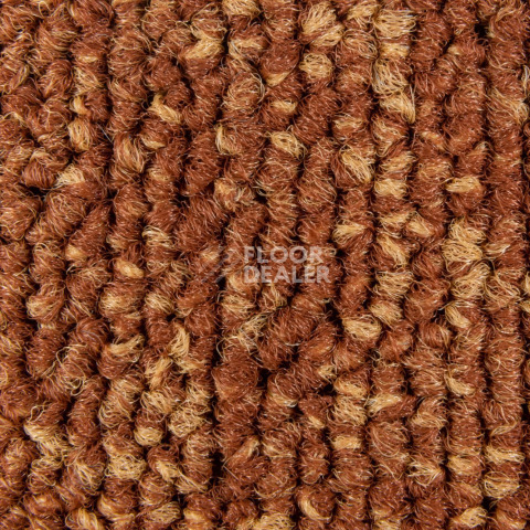 Balsan Season - Summer / Winter 455 фото 2 | FLOORDEALER