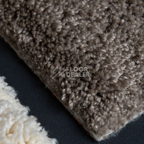 AW Masquerade Lamia 49 фото 6 | FLOORDEALER