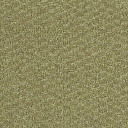 Ковролин Shaw Formation 300  | FLOORDEALER