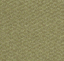 Ковролин Shaw Formation 300 фото 1 | FLOORDEALER