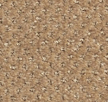 Ковролин Balsan Aquarelle Touch 630 фото 1 | FLOORDEALER