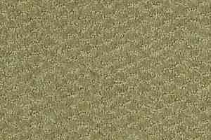 Ковролин Shaw Formation 300 фото  | FLOORDEALER