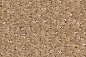 Ковролин Balsan Aquarelle Touch 630 фото  | FLOORDEALER