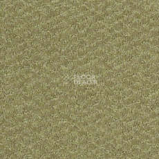 Ковролин Shaw Formation 300 фото 1 | FLOORDEALER