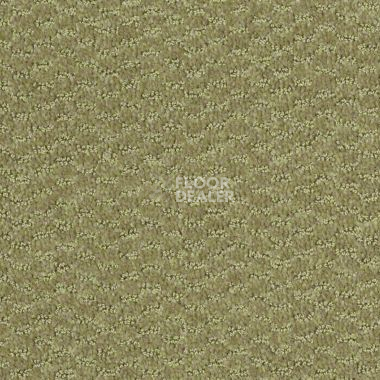 Ковролин Shaw Formation 300 фото 1 | FLOORDEALER