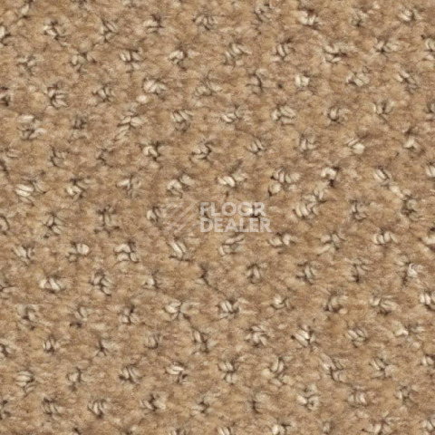 Ковролин Balsan Aquarelle Touch 630 фото 1 | FLOORDEALER