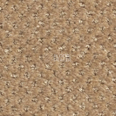 Ковролин Balsan Aquarelle Touch 630 фото 1 | FLOORDEALER