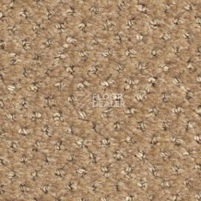 Ковролин Balsan Aquarelle Touch 630 фото 1 | FLOORDEALER