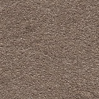 Ковролин AW Invictus Scorpius 34 фото 1 | FLOORDEALER