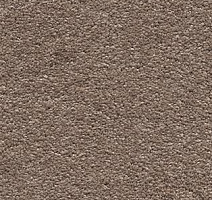 Ковролин AW Invictus Scorpius 34 фото 1 | FLOORDEALER