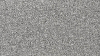 Ковролин Vorwerk Passion 1004 Vorwerk 5v29 фото 1 | FLOORDEALER