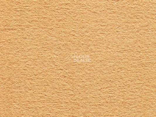 Ковролин Audrey 053 Audrey фото 1 | FLOORDEALER