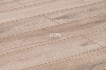 Alix Floor Regista 8мм D4763 Дуб Мелоди фото 2 | FLOORDEALER