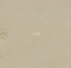 Marmoleum Modular Shade 3719 фото 1 | FLOORDEALER