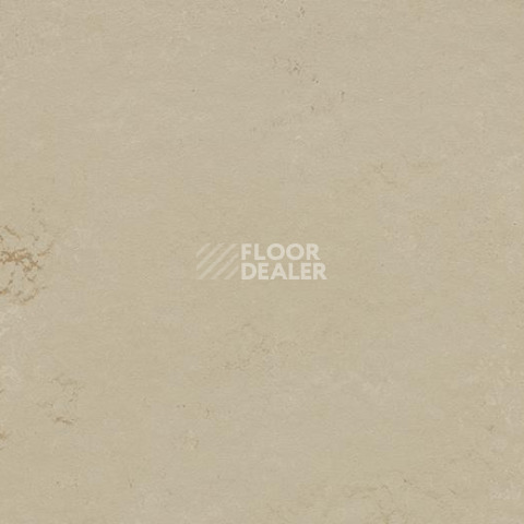 Кварцвиниловые полы Forbo Marmoleum Modular Shade 3719 фото 1 | FLOORDEALER