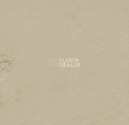 Кварцвиниловые полы Forbo Marmoleum Modular Shade 3719 фото 1 | FLOORDEALER