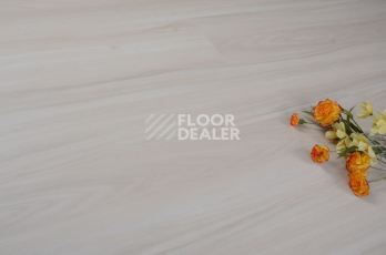 Evofloor Optima Click 4.2мм Дуб Айвори фото 6 | FLOORDEALER